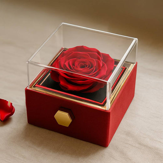Chapters Cross - Daughter Birthday Necklace with Rose Box